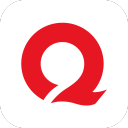 Team Spirit战队标志